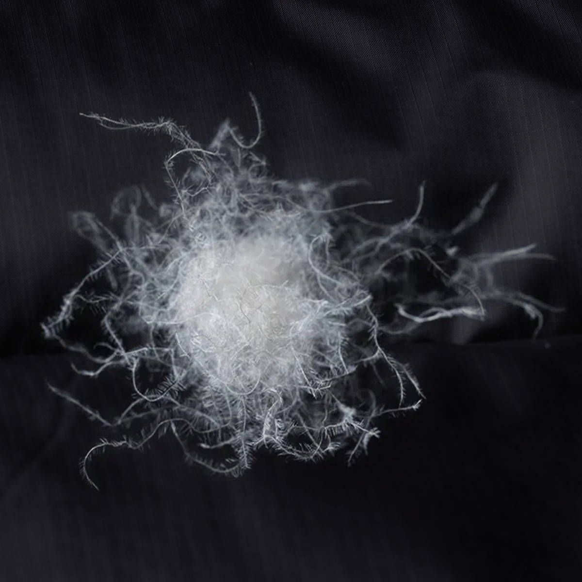 Goose down insulation on sale